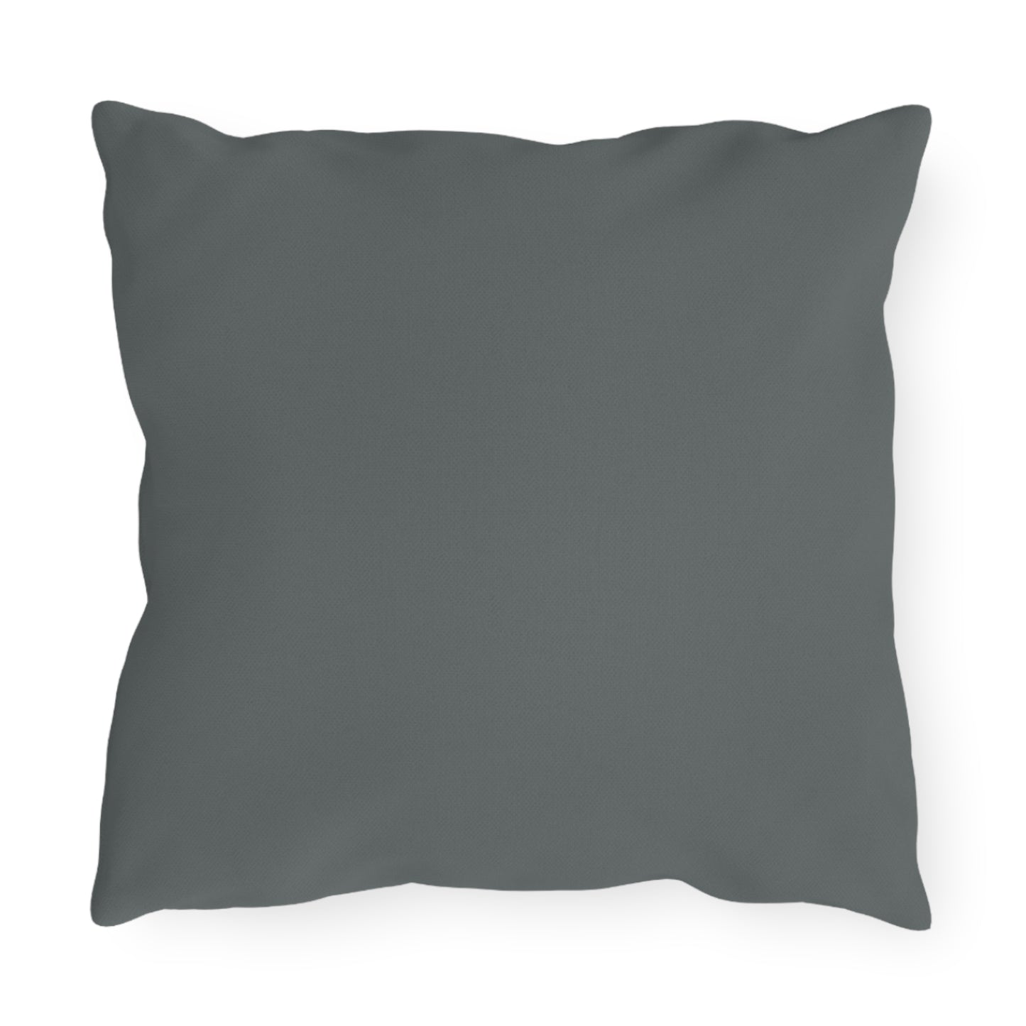 Welcome to our Sh** Show. we are Wild, Loud & GoodaNuff! Indoor/Outdoor Pillow