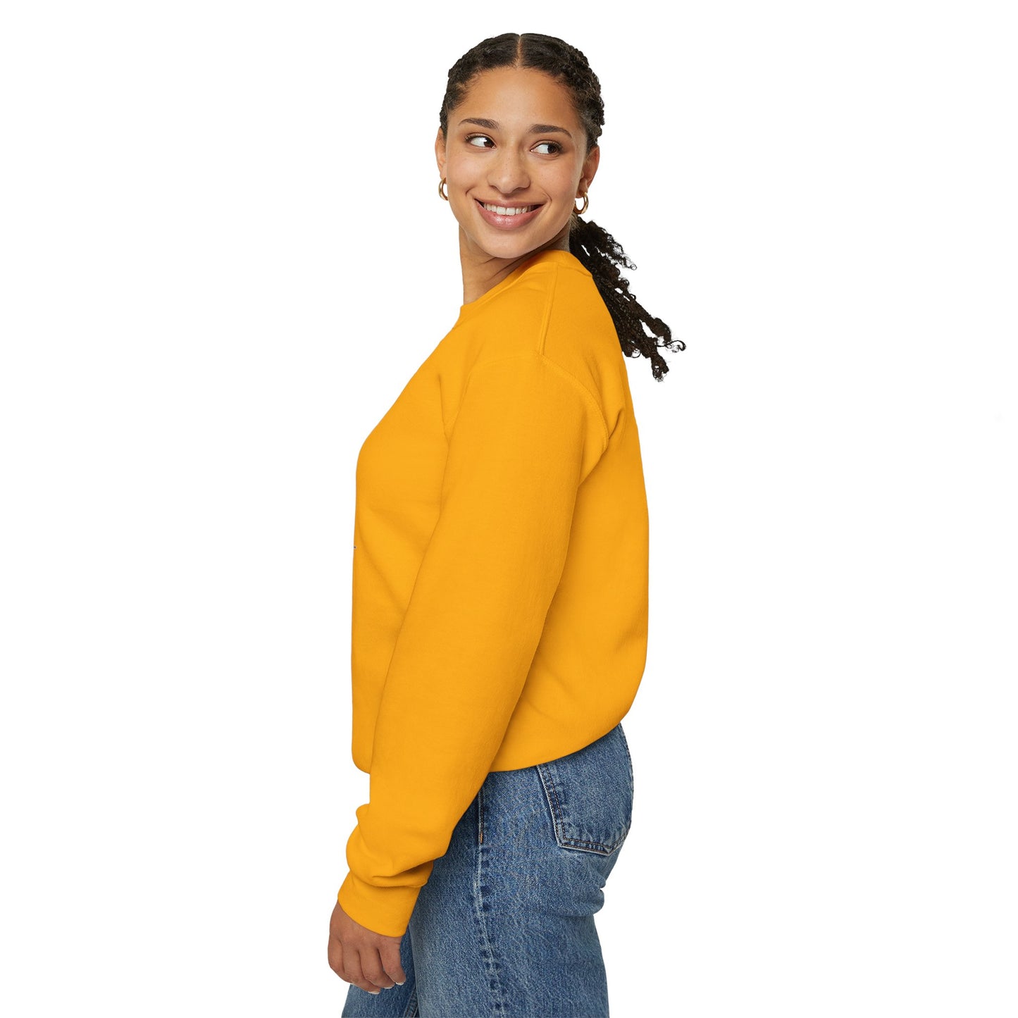 2 Star Hotel with a Pool. GoodaNuff Unisex Crewneck